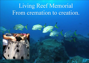 Here is an Eternal Reef with sea life growing all around it. IT is a new ocean habitat that houses their loved one's ashes.